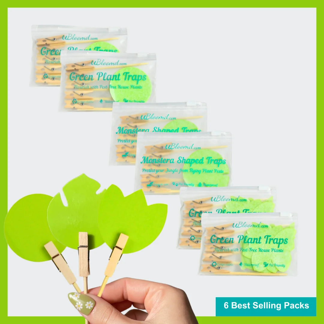 Image of Essential Sticky Traps 60 Pack