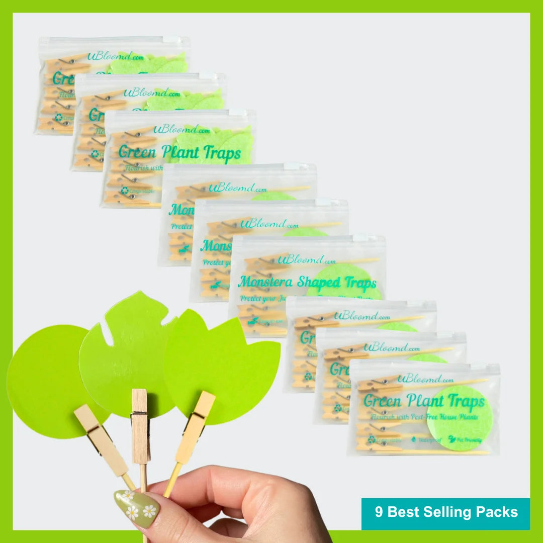 Image of Mixed 90 Pack