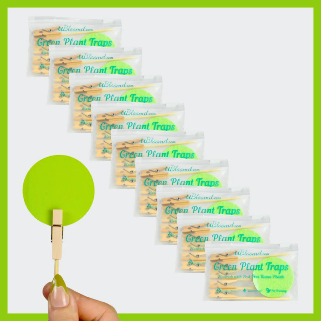 Image of Classic Circle 90 Pack