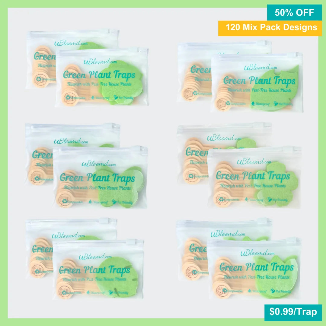 Image of The Jungle Sticky Traps 120 Pack
