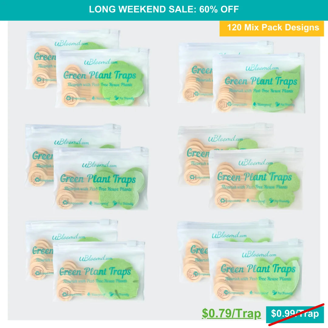 Image of The Jungle Sticky Traps 120 Pack