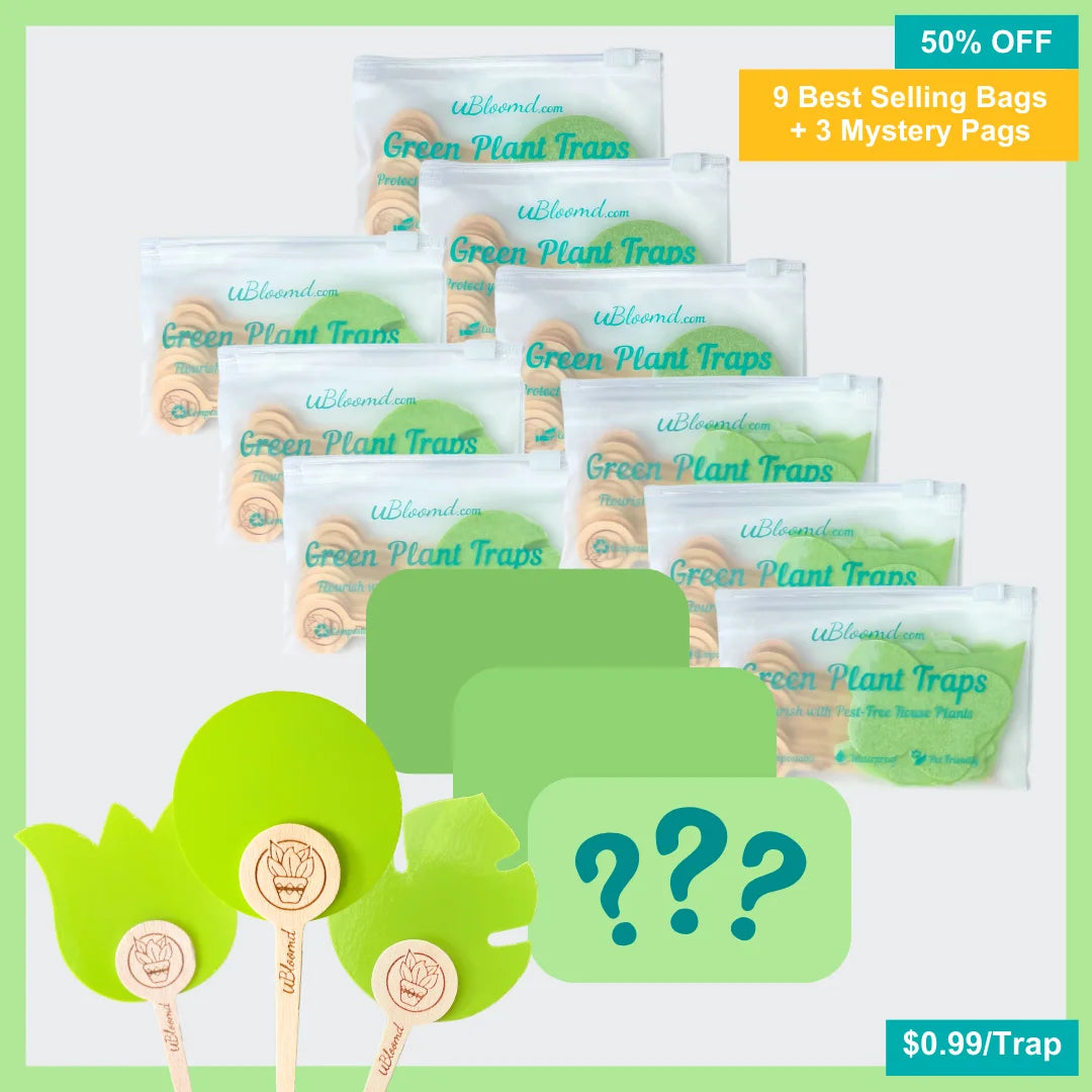 Image of Mystery Garden 120 Traps Pack