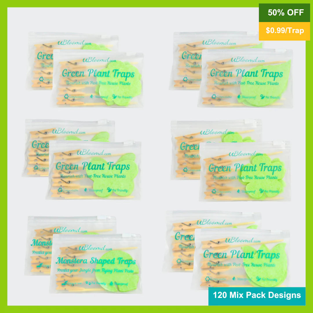 Image of The Jungle Sticky Traps 120 Pack