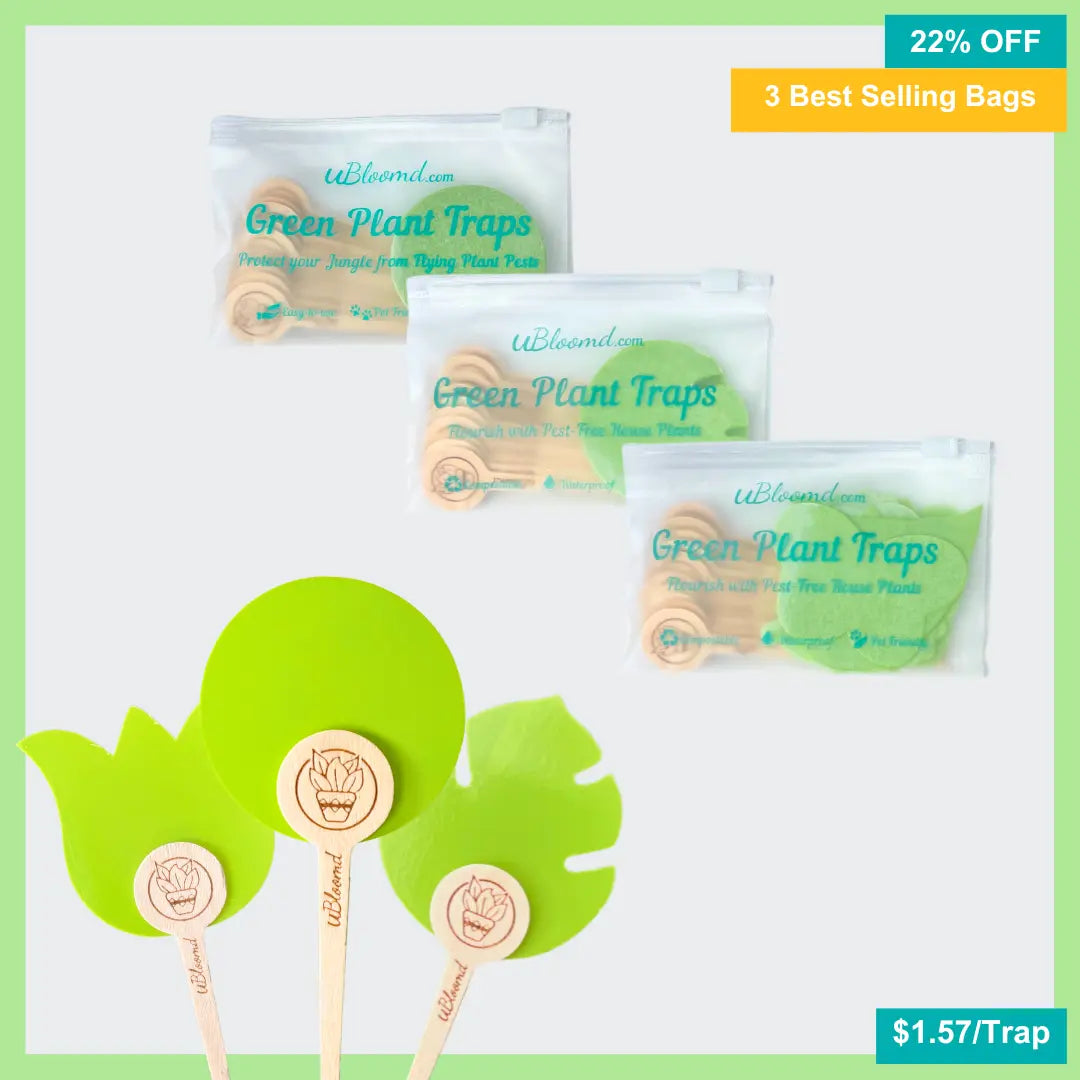 Image of The Sample 30 Pack