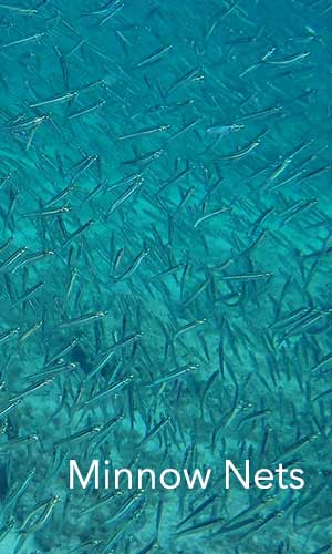 Mako Cast Nets