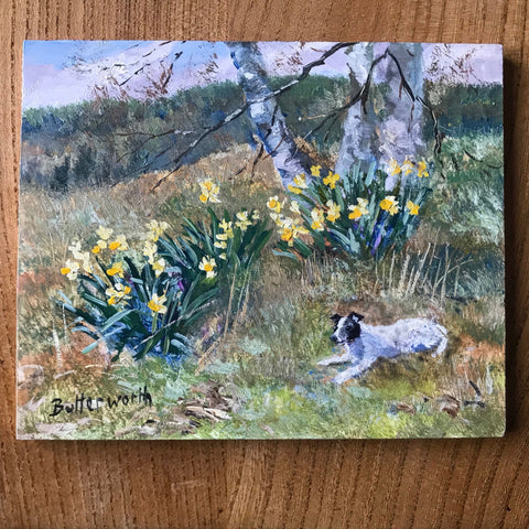 Howard Butterworth paints a sketch of his aberdeenshire garden in springtime with daffodils and bungie his dog.