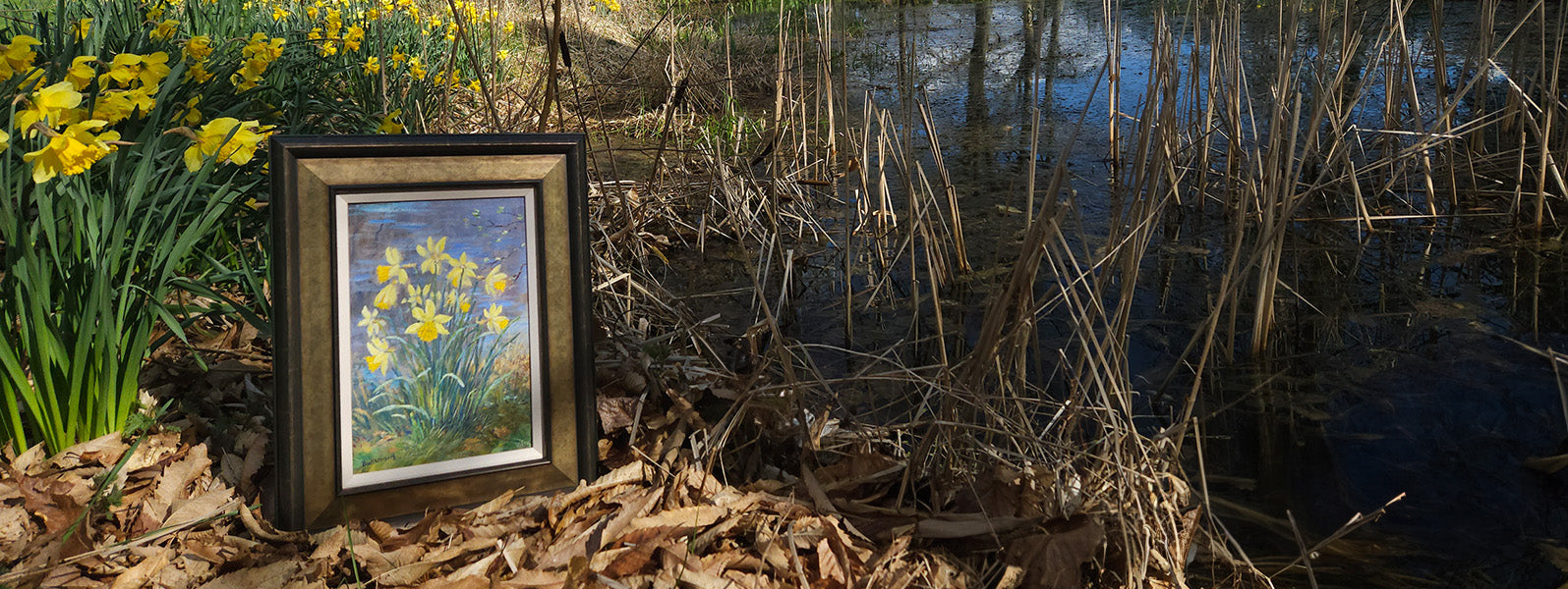 Original oil painting of daffodils by Aberdeenshire artist Howard Butterworth