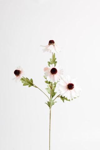 Los girasoles tienen pétalos paralelos y deben secarse hacia arriba.