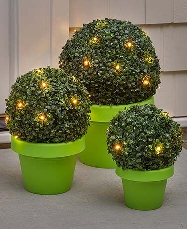 Boxwood Topiary Ball