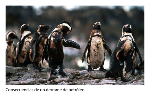 Derrame de petroleo