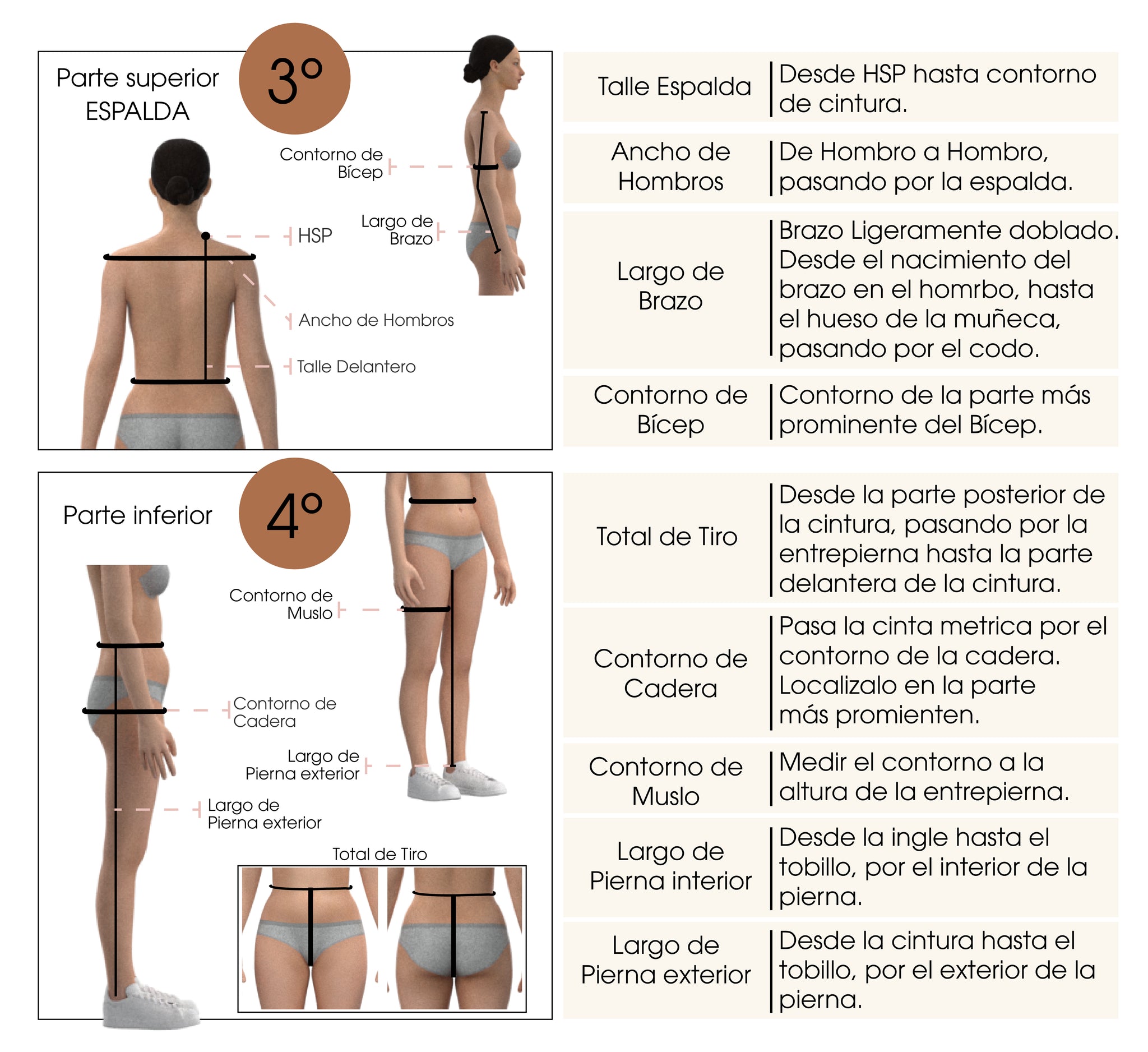 Toma de medidas, espalda, y parte inferior