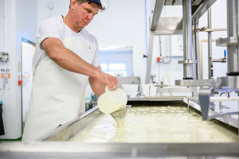 Raw milk in cheese. The Trethowan Brothers.