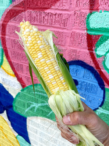 Hand holding partially shucked sweet corn in front of a brightly colored painted wall