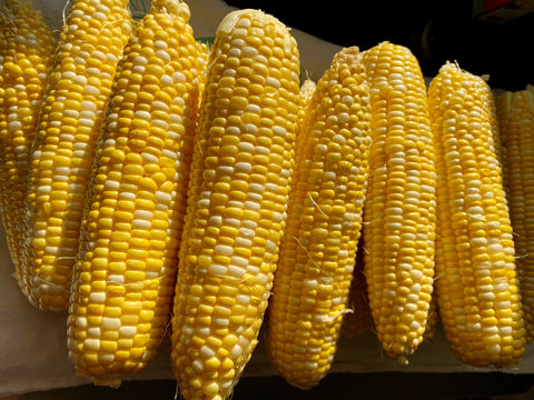 a pile of shucked sweet corn