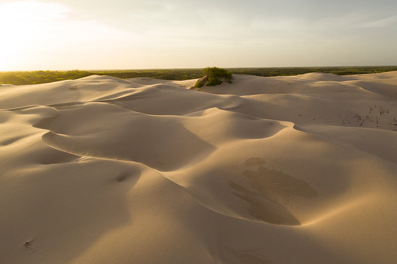 An aerial view of the living dunes along the coastal plains of south Texas.