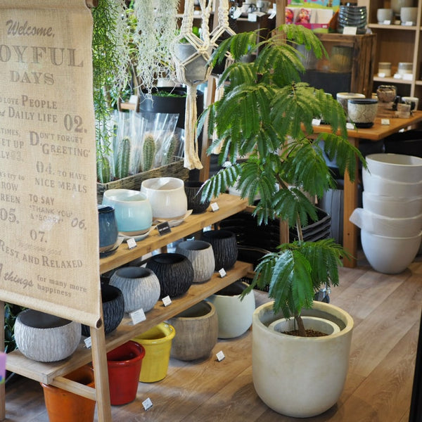 植木鉢の専門店 鉢人 植木鉢の専門店 鉢人