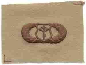 Meterorologist Basic USAF Badge - Saunders Military Insignia