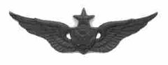 Senior Aircrew subdued metal wing - Saunders Military Insignia