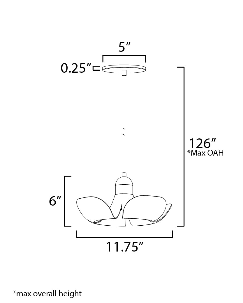 Specification Banner - Small - Poppy Pendant Light