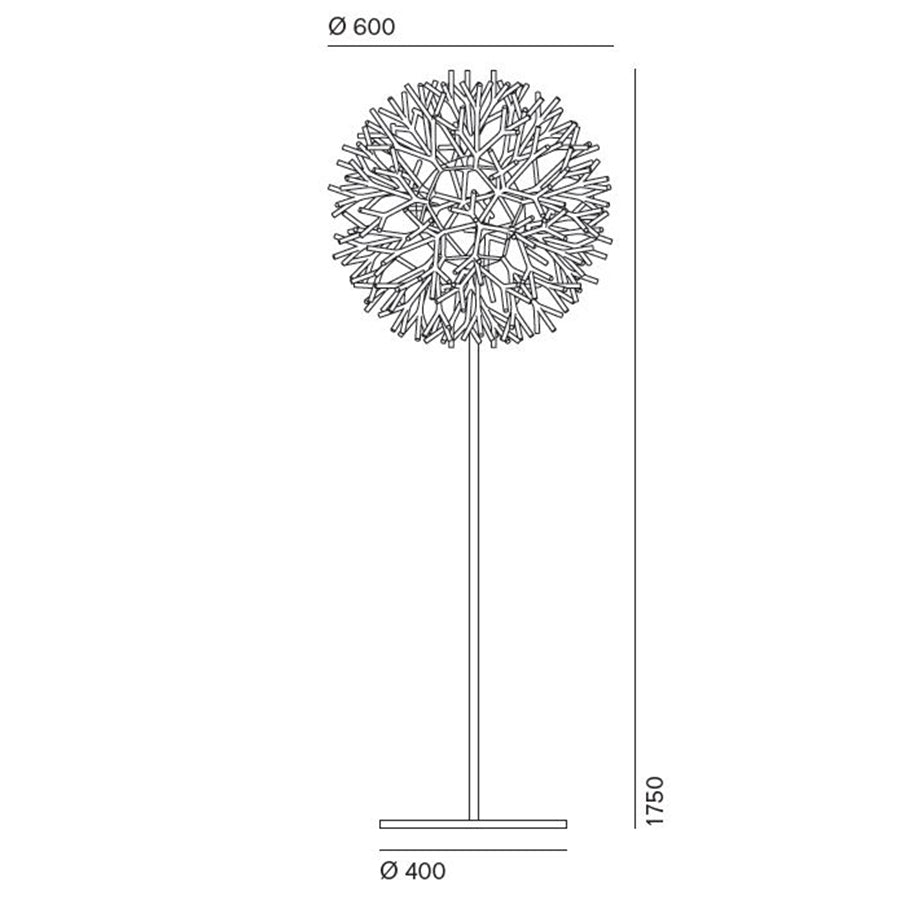 Coral Floor Lamp Specifications