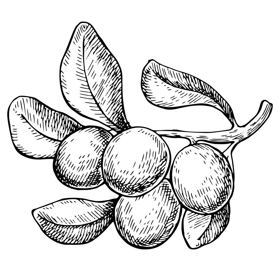 Sheabutter