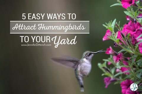 5 Easy Ways to Attract Hummingbirds to Your Yard