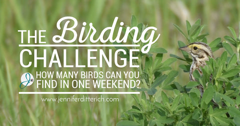 The Birding Challenge