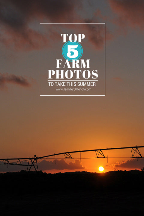 Top 5 Farm Photos to Take This Summer
