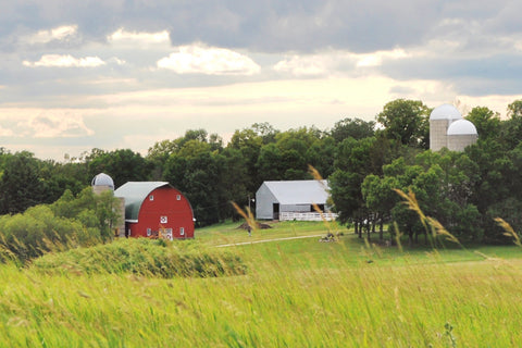 Farm scene with barn and silos