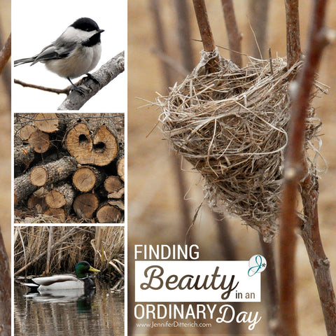 Finding Beauty in an Ordinary Day | Jennifer Ditterich Designs