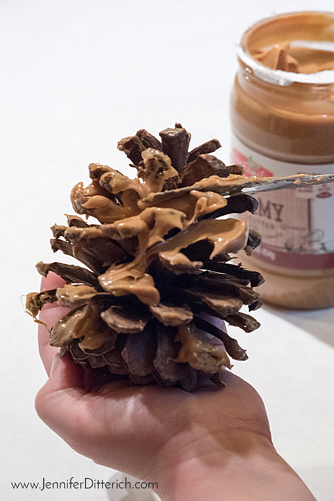 Use peanut butter to hold birdseed onto pinecone birdfeeders