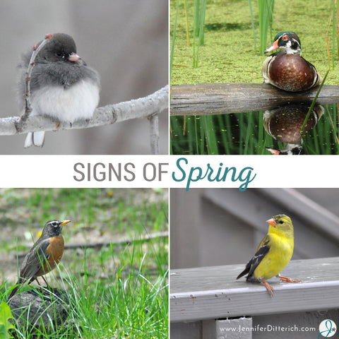 Signs of Spring