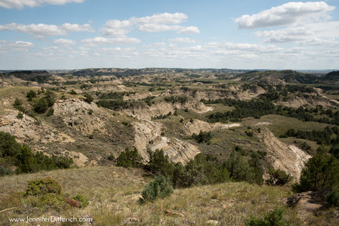 Theodore Roosevelt National Park by Jennifer Ditterich