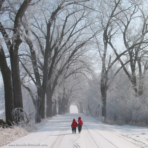 Winter Road by Jennifer Ditterich Designs