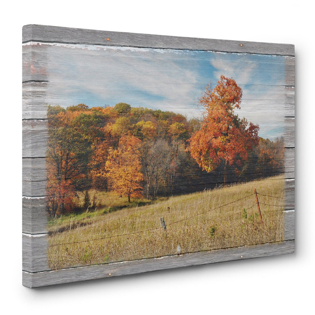 Autumn Countryside Canvas Print – Jennifer Ditterich Designs