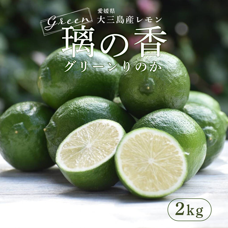 62%OFF!】 国産グリーンレモン 1.1kg