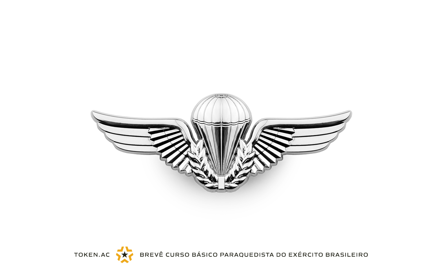 Curso Básico Paraquedista do Exército Brasileiro