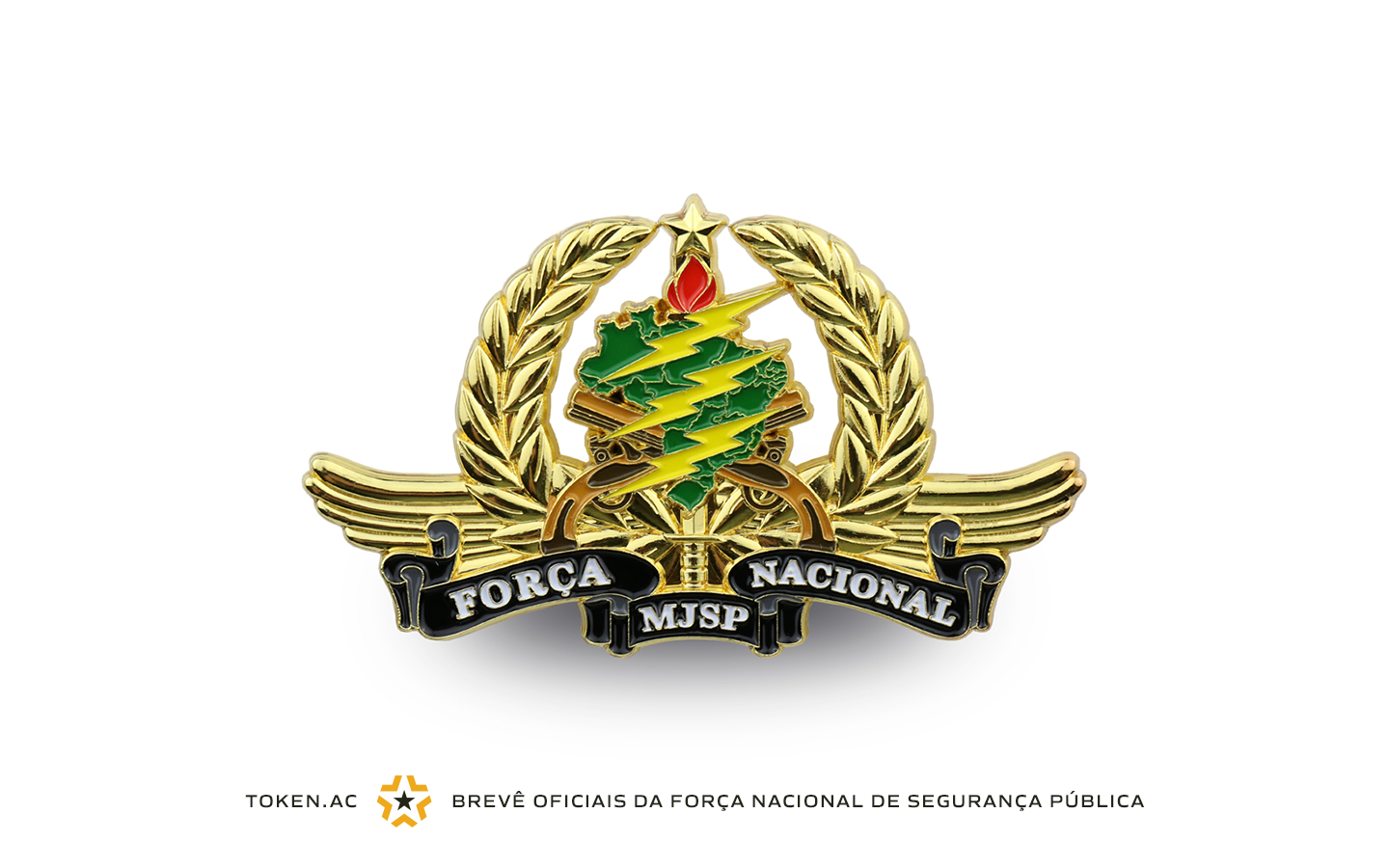Brevê Oficiais da Força Nacional de Segurança Pública