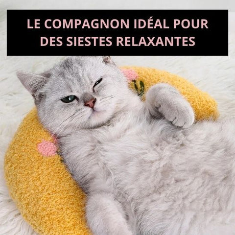 coussin-apaisant-chat-relaxant