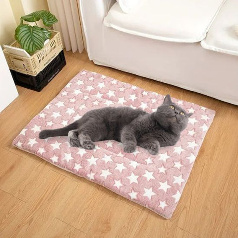 coussin-chat-confortable