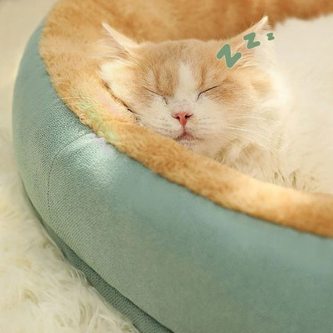 coussin-chat-pour-un-sommeil-de-luxe