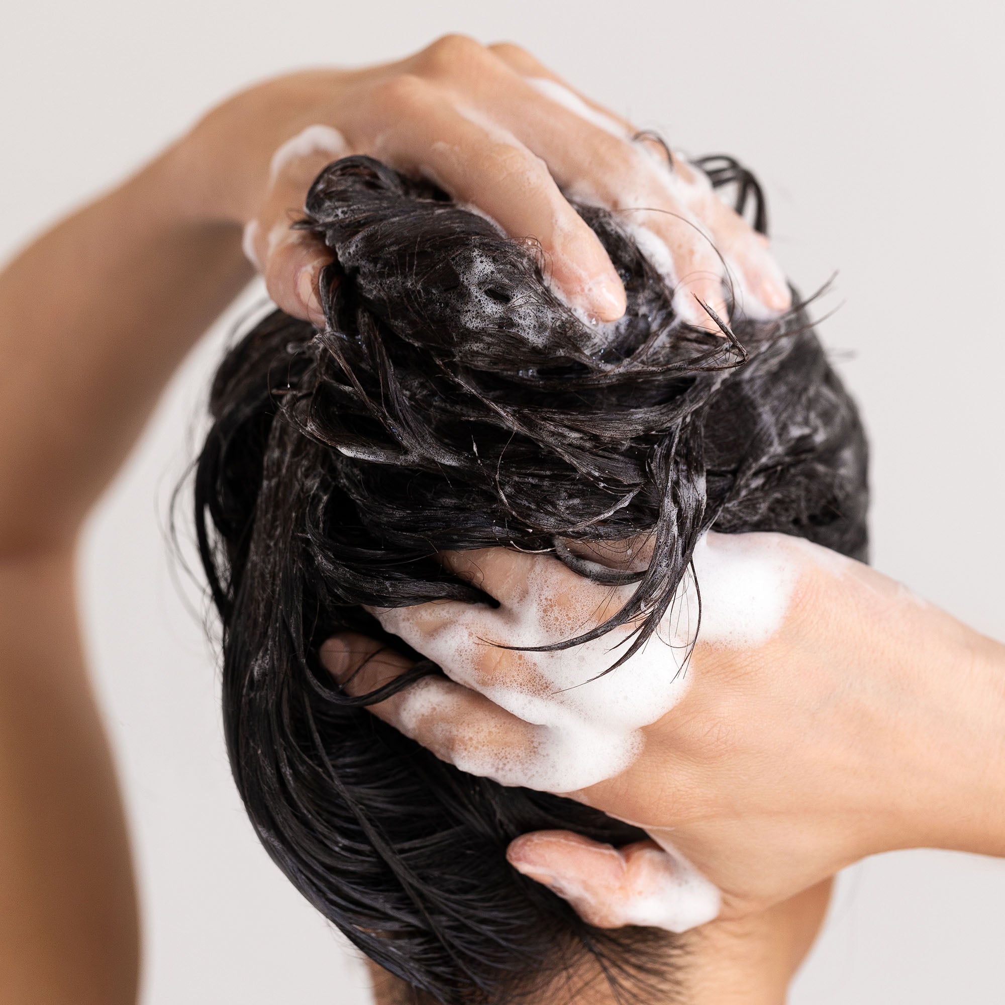 apply shampoo