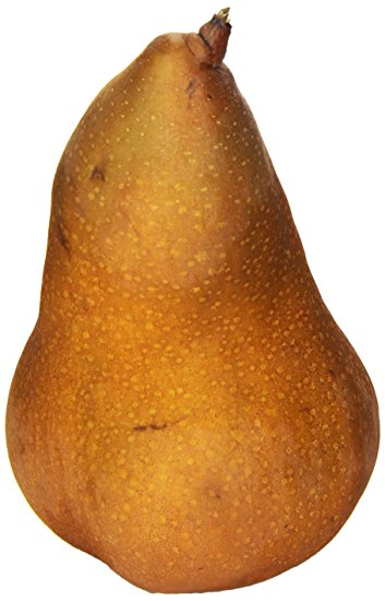 Pear Bosc Brown CA (each) — GoFruitage