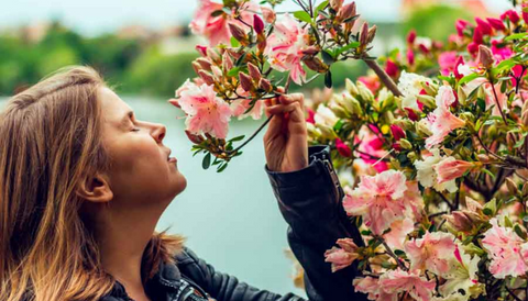 Los mejores perfumes con toronja