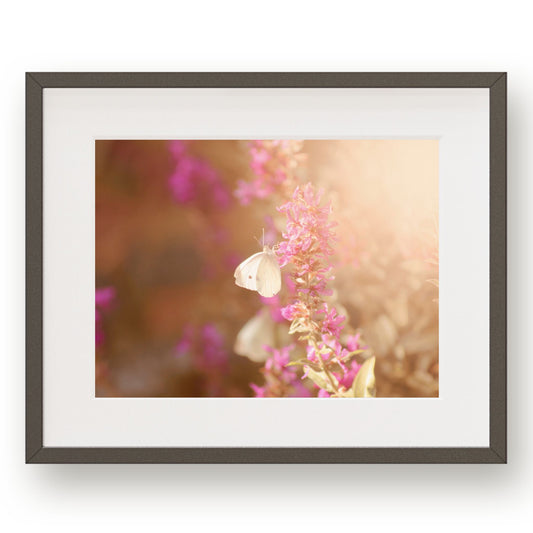 Butterfly Bouquet Art Print - Paget Fink Design