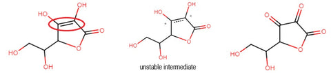 unstable intermediates of vitamin c