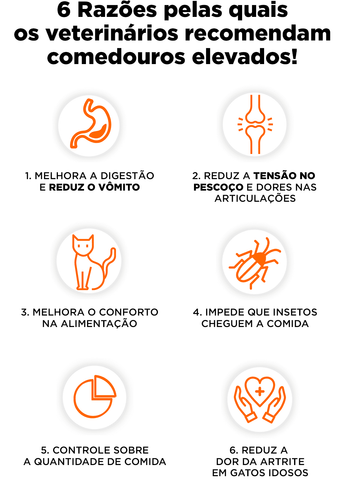 comedouro ergonomico para gatos - Brasil |