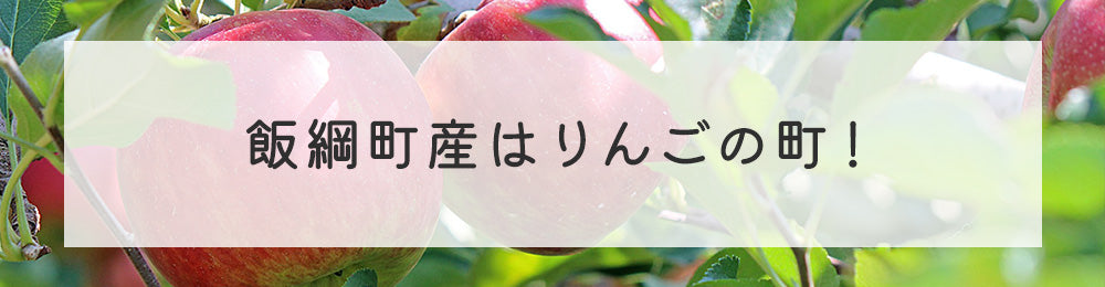 長野県飯綱町りんご