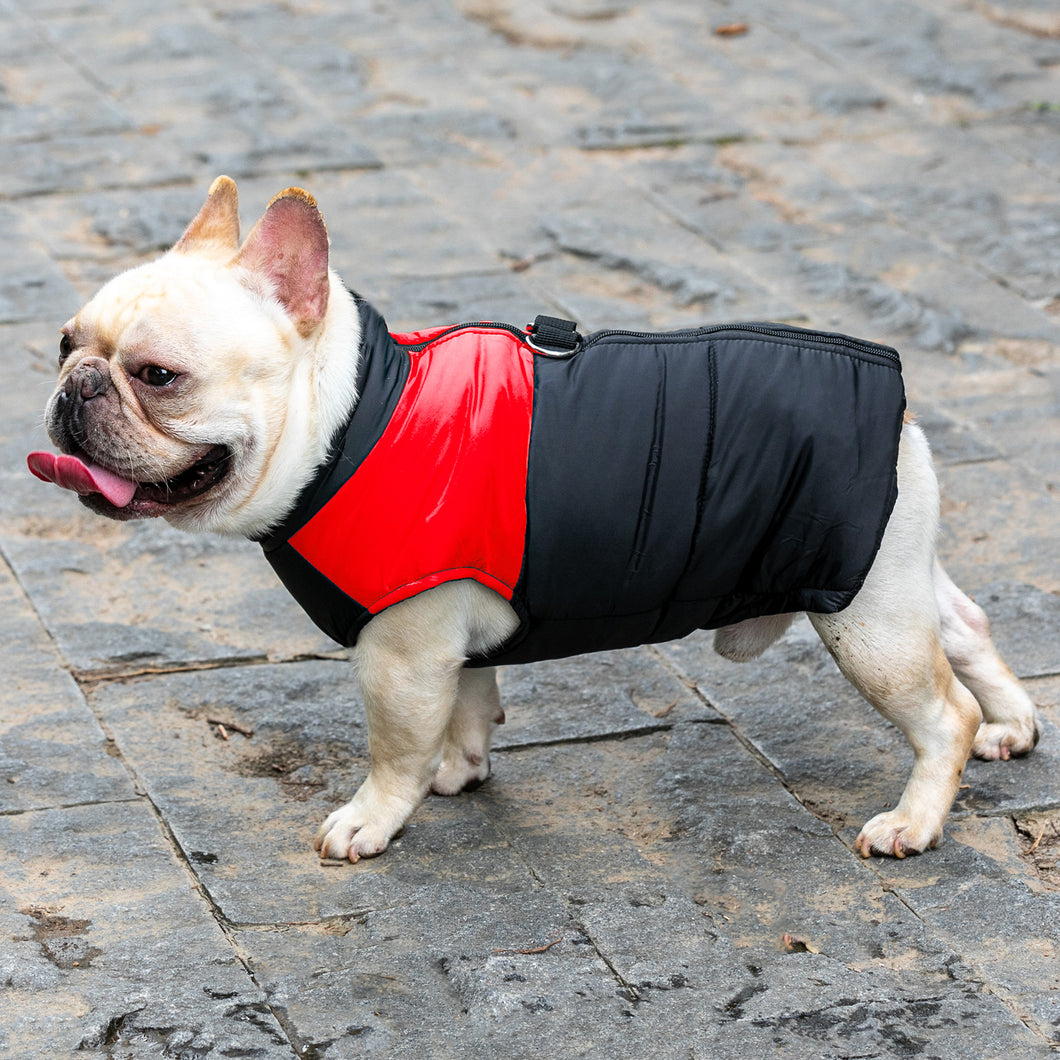 paso Retirada recomendar BCASE, Impermeable para Perro, con Anillo para Arnés, Ropa para Mascot –  Bcase-europe