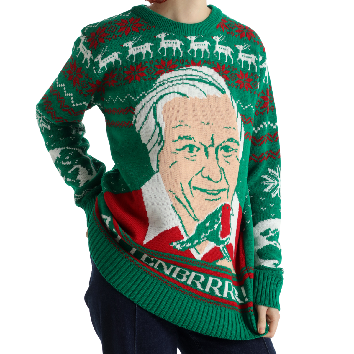 (50% Recycled) Attenbrrr: David Attenborough Knitted Christmas Jumper